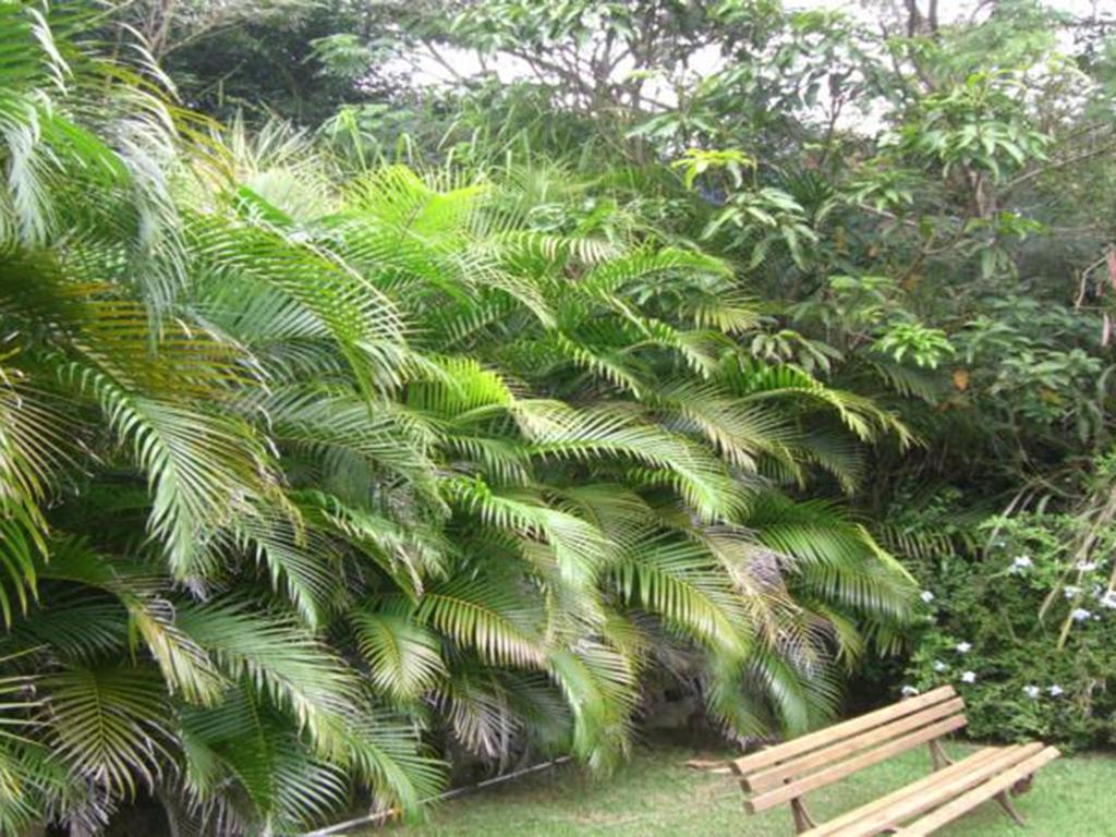 Htl Telhado Verde Búzios Екстериор снимка
